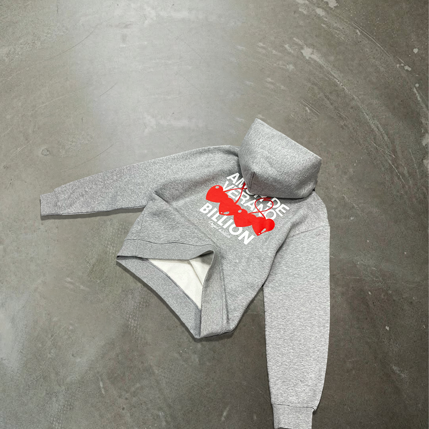 Grey Amor Hoodie